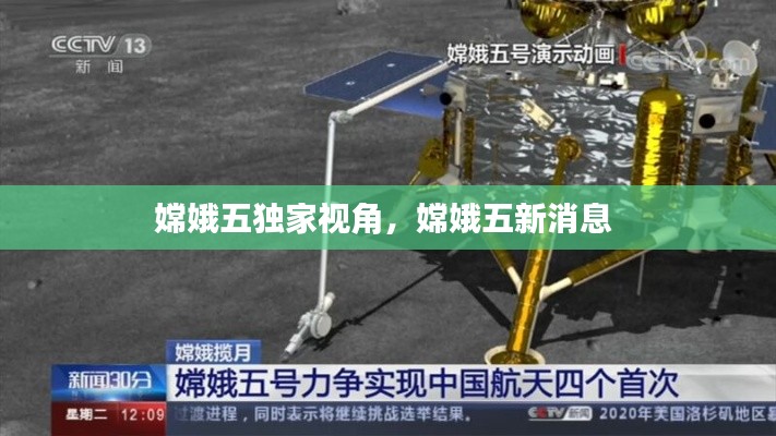 棒打出头鸟 第3页