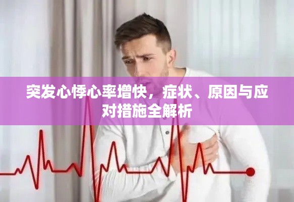 突发心悸心率增快,症状、原因与应对措施全解析