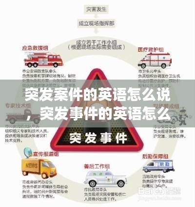突发案件的英语怎么说,突发事件的英语怎么说