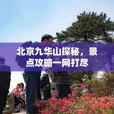 发奋图强 第3页