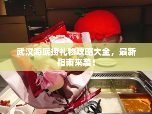 武汉海底捞礼物攻略大全,最新指南来袭!