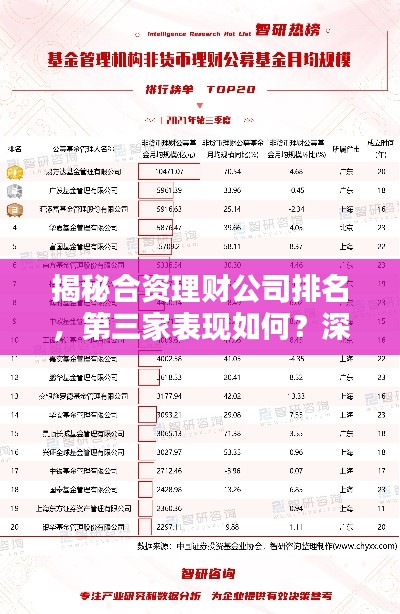 揭秘合资理财公司排名，第三家表现如何？深度解析！