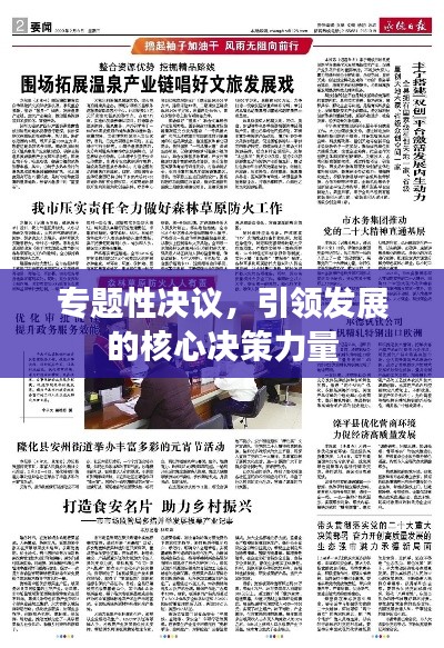 专题性决议，引领发展的核心决策力量