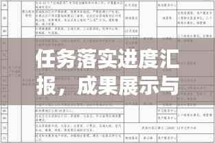 任务落实进度汇报,成果展示与行动剖析