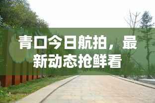 青口今日航拍,最新动态抢鲜看