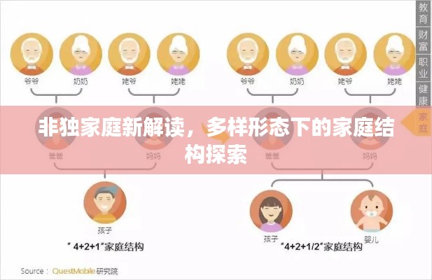 非独家庭新解读，多样形态下的家庭结构探索