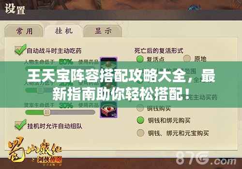 王天宝阵容搭配攻略大全，最新指南助你轻松搭配！