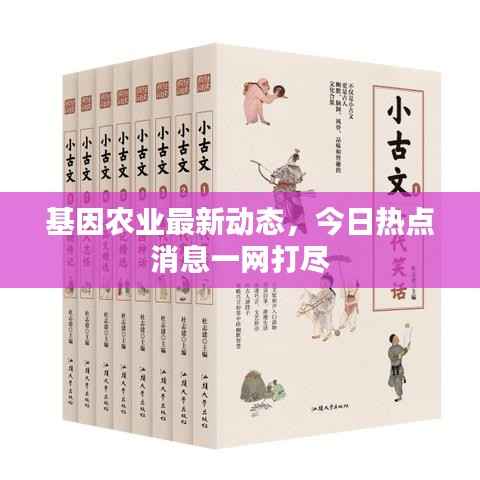 夫荣妻贵 第2页