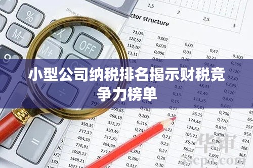 小型公司纳税排名揭示财税竞争力榜单