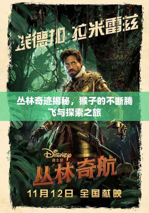 丛林奇迹揭秘,猴子的不断腾飞与探索之旅