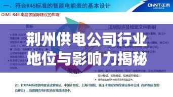 荆州供电公司行业地位与影响力揭秘，排名及影响力不容小觑