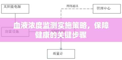 血液浓度监测实施策略,保障健康的关键步骤