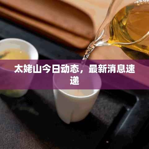 太姥山今日动态,最新消息速递