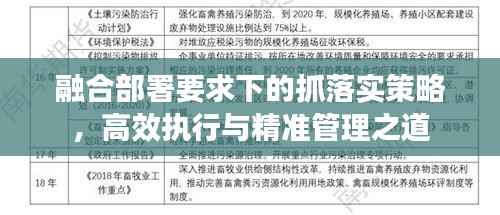 融合部署要求下的抓落实策略,高效执行与精准管理之道