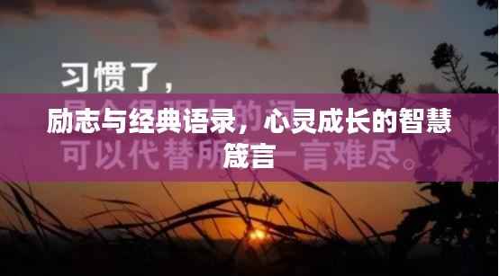 励志与经典语录，心灵成长的智慧箴言