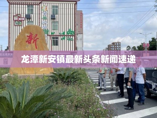 龙潭新安镇最新头条新闻速递
