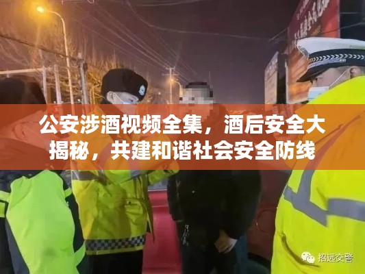 公安涉酒视频全集,酒后安全大揭秘,共建和谐社会安全防线