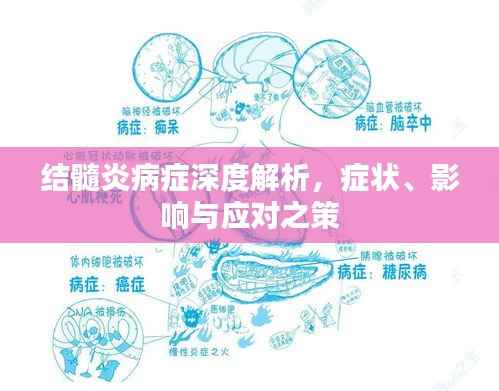 结髓炎病症深度解析,症状、影响与应对之策