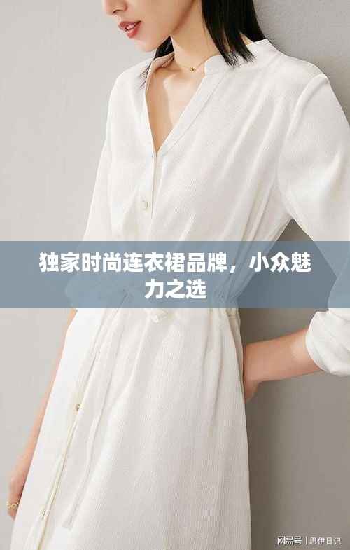 独家时尚连衣裙品牌,小众魅力之选
