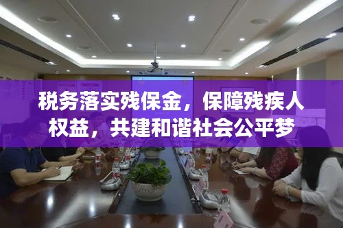 税务落实残保金,保障残疾人权益,共建和谐社会公平梦