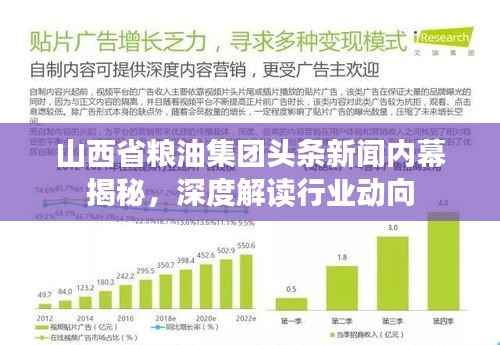 山西省粮油集团头条新闻内幕揭秘,深度解读行业动向