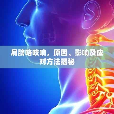 肩膀咯吱响,原因、影响及应对方法揭秘