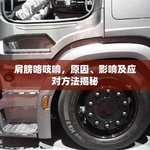 肩膀咯吱响,原因、影响及应对方法揭秘